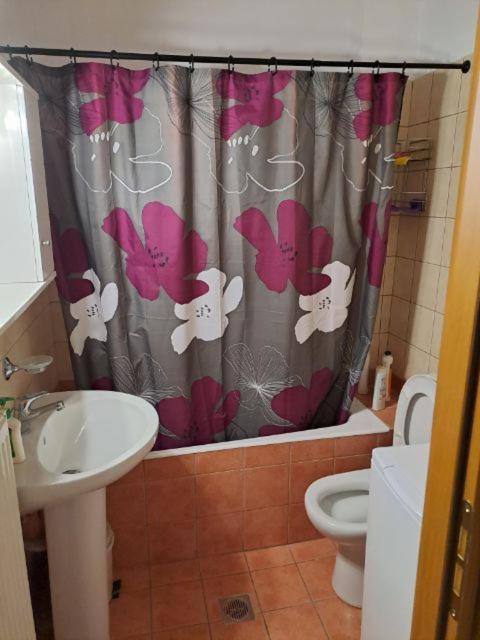 Apartment το πιο ευχάριστο της πόλης *